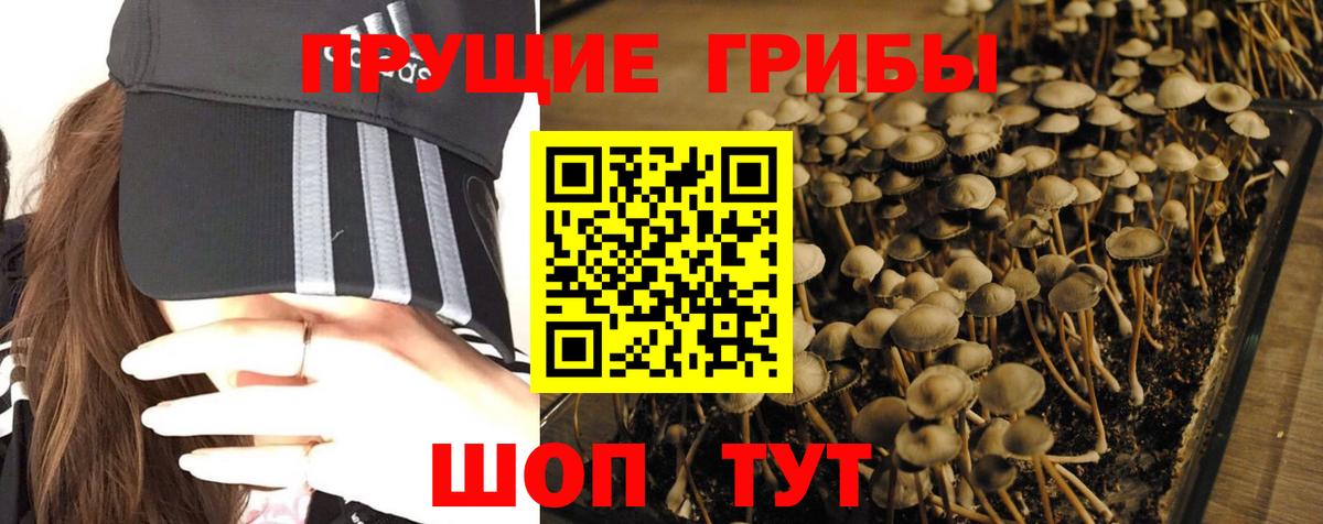 Обнинск  Галлюциногенные грибы GOLDEN TEACHER  Псилоцибиновые грибы ЛСД  Вход с VPN 